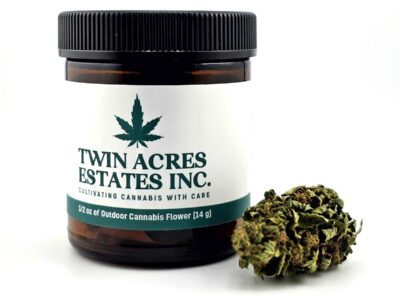 Jar Flower