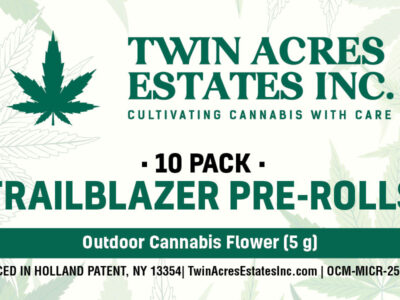 Trailblazer Pre-Rolls (1PK | 24 Case)